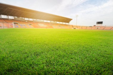 Yeşil çim futbol stadyumu. Güneş ışığı altında Stadı çim. 