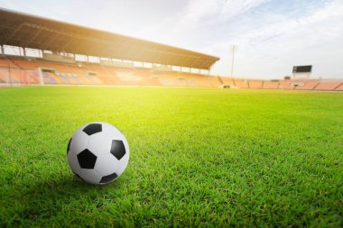 Yeşil çim futbol stadyumu. Güneş ışığı altında Stadı çim. 