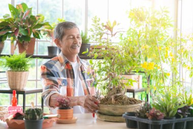 Yaşlı bir çiftçi ağaç buduyor. Mutlu emekli adam evde bir çalıyı buduyor..