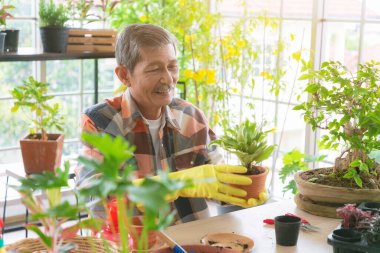 Yaşlı bir çiftçi ağaç buduyor. Mutlu emekli adam evde bir çalıyı buduyor..