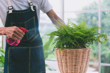 Yakın plan çekimler yaşlı adam hobisini yapıyor bahçecilikte ve ağaç ilaçlamada rahatlıyor..
