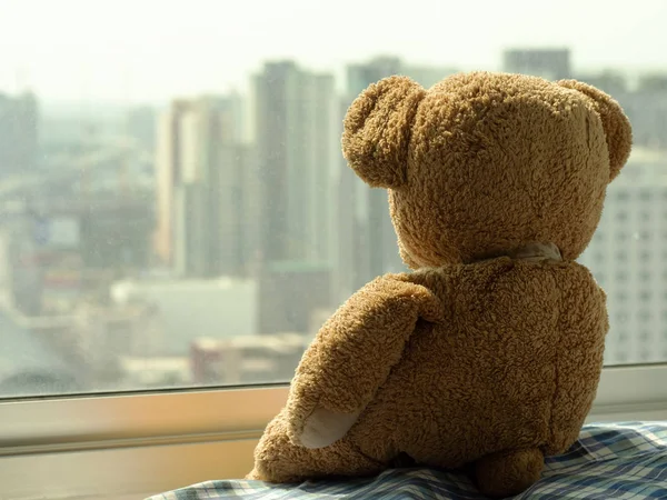 Sad brown teddy bear doll sitting alone on window shield looking outside, feel alone, sad and disappointed.