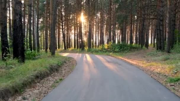Kerékpározás Első Személy Úton Erdőben Naplementekor Lassított Videó — Stock videók