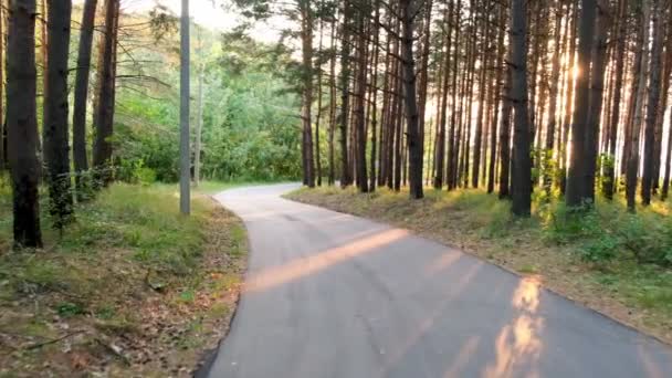 Ciclismo Primera Persona Carretera Bosque Atardecer Cámara Lenta Vídeo — Vídeo de stock