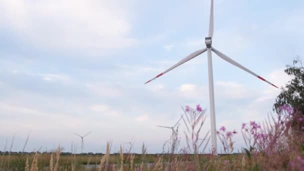 Widok z lotu ptaka elektryczności generującej turbiny wiatrowej w zielonej dziedzinie. Zbliżenie obrotowej turbiny wiatrowej. Materiał Dronowy farmy wiatrowej. Turbiny w farm wiatrowych obracanie w wietrzne Pogoda. — Wideo stockowe