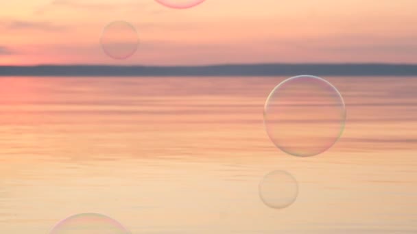 Flying Bubbles Water Sunset Stress Video Abstract Video — Stock Video