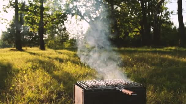 Primer Plano Salchichas Una Pequeña Parrilla Barbacoa — Vídeos de Stock