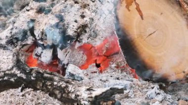 kamp ateşi ateşli alevler yakın, süper yavaş hareket yanan odun.