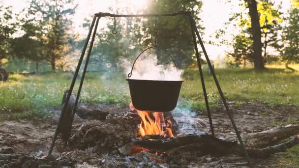 Cerrar las llamas de hoguera de fuego de camping, Super cámara lenta quema de leña . — Vídeos de Stock