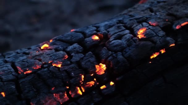 Közelről máglya lángjai kemping tűz, Super lassú mozgás égő tűzifa. — Stock videók