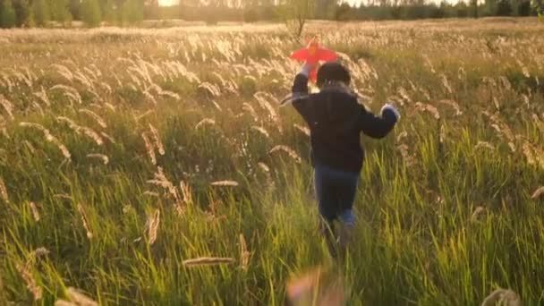 Gün Batımında Oyuncak Bir Uçakla Tarlada Koşan Küçük Bir Kız — Stok video