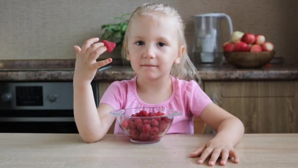 Aranyos Kis Gyermek Lány Portré Vicces Étkezési Vörös Málna Lábszárvédő — Stock videók