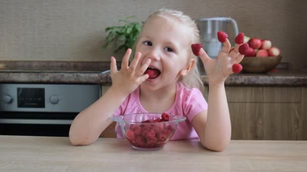 Söt Liten Barnflicka Röda Hallon Från Fingrarna Barndoms Konceptet Slow — Stockvideo