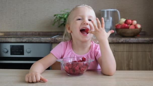 Söt Liten Barnflicka Röda Hallon Från Fingrarna Barndoms Konceptet Slow — Stockvideo