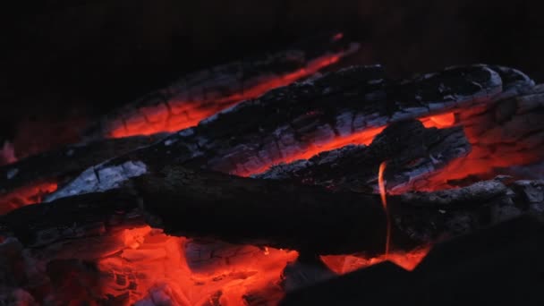 Close Vreugdevuur Vlammen Van Camping Fire Super Slow Motion Brandende — Stockvideo