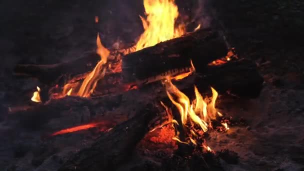 Bonefire Ohnivé Plameny Táborech Pomalý Pohyb — Stock video