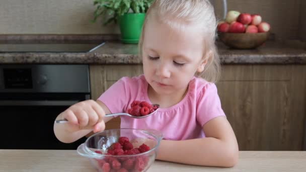 Bonito Menina Criança Engraçado Guloso Desfiladeiro Comer Framboesas Vermelhas — Vídeo de Stock