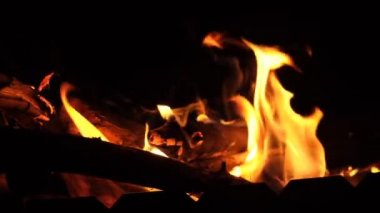 Tropik sahilde inanılmaz bir gün doğumu. Sarı güneş denizin üzerinde.