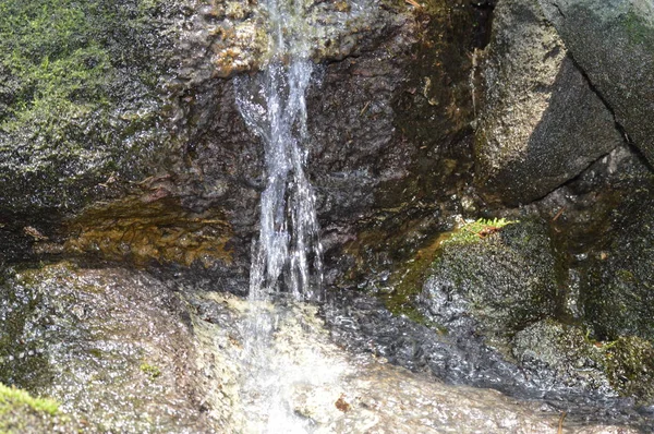 Pequeña Cascada Que Fluye Sobre Las Rocas —  Fotos de Stock