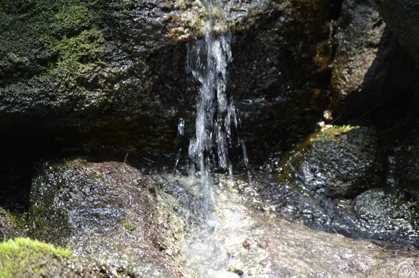 Pequena Cachoeira Que Flui Sobre Rochas — Fotografia de Stock