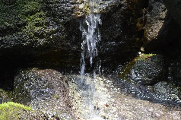 Pequeña Cascada Que Fluye Sobre Las Rocas — Foto de Stock