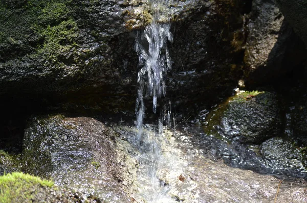 Pequeña Cascada Que Fluye Sobre Las Rocas —  Fotos de Stock