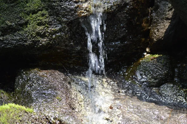 Pequeña Cascada Que Fluye Sobre Las Rocas — Foto de Stock