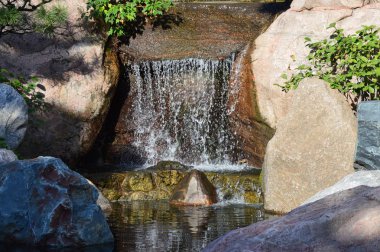 Japon bahçe şelale