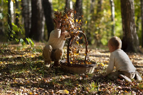 Bir çocuk ormanda bir sepetin yanında oturuyor ve yapraklarla oynuyor.