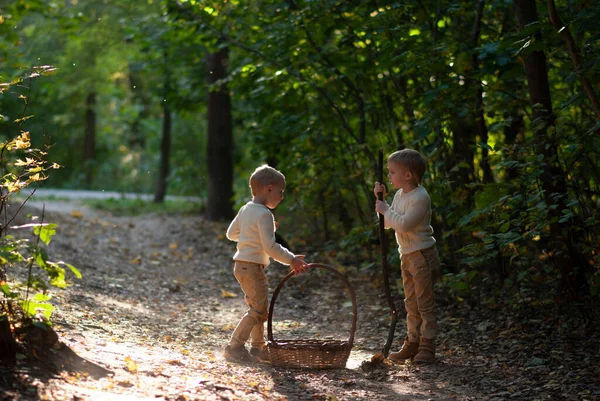 Niños Con Una Gran Cesta Buscando Setas Bosque — Foto de Stock