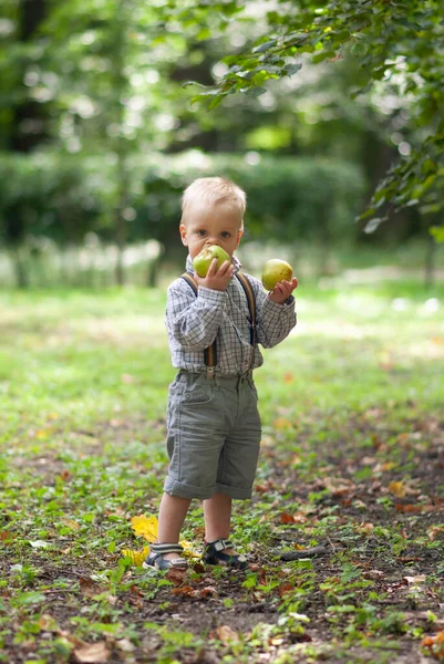 Niño Pequeño Para Medio Del Parque Mastica Manzanas — Foto de Stock