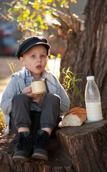 Elinde bir kupa süt ve bir parça ekmek olan çocuk bir ağaç kütüğünde oturuyor.