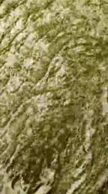 Yeşil ve beyaz alg su yüzeyinde karmaşık, dinamik girdap şekilleri oluşturarak organik dokuyu ve çevresel dönüşümü ortaya çıkarıyor.