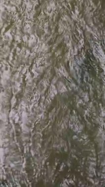 Kirlenmiş bir nehrin yüzeyinde akıntı tarafından taşınan plastik atıklar yüzer, kirliliğin etkilerini vurgulayan çevresel bir sorun