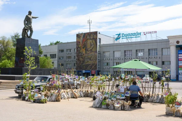 Volgogrado Rusia Mayo 2018 Venta Ambulante Plántulas Plaza Dzerzhinsky Frente — Foto de Stock