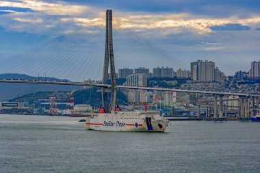 Busan, Güney Kore - 22 Aralık 2016: Yük gemisi-cum-yolcu gemisi 'Panstar rüya' Busan Güney Kore'de Panstar şirket için servisi geldiğinde.