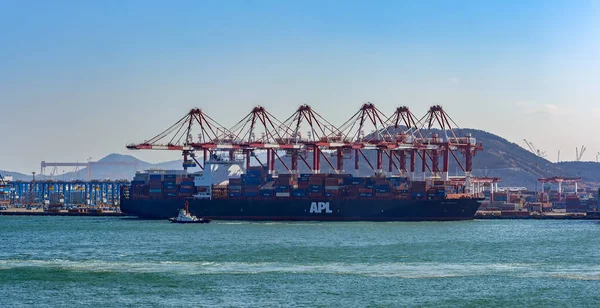 Qingdao China Januar 2017 Containerschiff Des Amerikanischen Präsidenten Lines Apl — Stockfoto