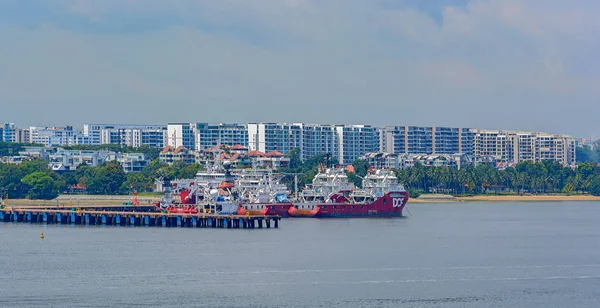 Singapur Singapur Abril 2017 Embarcaciones Suministro Remolcadores Anclaje Rojo Blanco — Foto de Stock