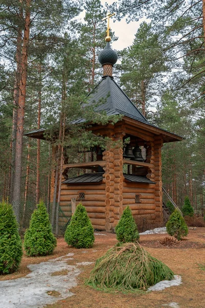 Leningrad Region Rusya Federasyonu Nisan 2018 Kilise Bir Rus Azizler — Stok fotoğraf