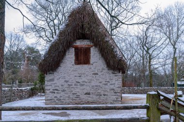 Geleneksel Gotland tarzı koyun Skansen Açık Hava Müzesi 'nde döken.
