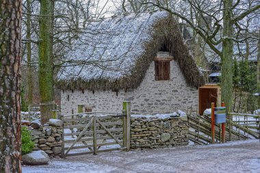 Geleneksel Gotland tarzı koyun Skansen Açık Hava Müzesi 'nde döken.