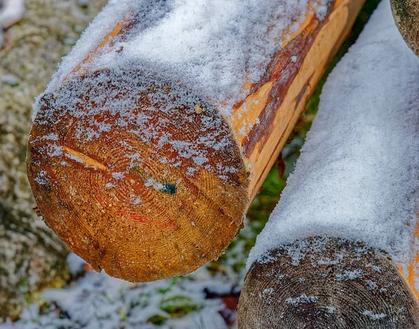 Φρέσκια φυσική υφή ξύλου με νιφάδες χιονιού πάνω από αυτό. — Φωτογραφία Αρχείου