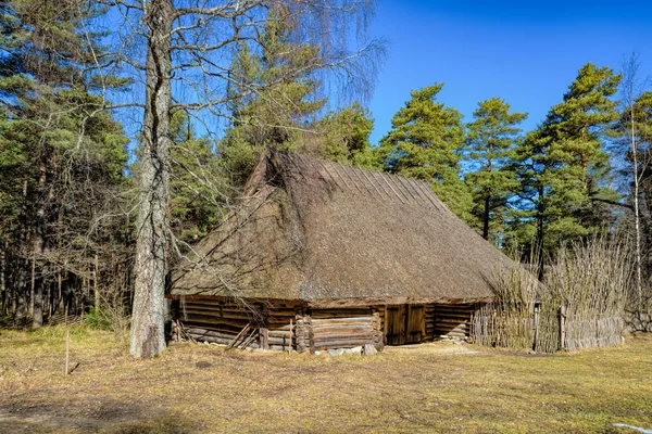 日当たりの良い春の日に針葉樹林に囲まれた茅葺き屋根の古い木製の納屋 エストニア — ストック写真