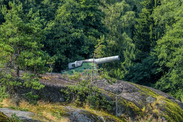 Veraltete Kanone Auf Holzlafet Aufgestellt Felsigen Ufer Einer Bewaldeten Insel — Stockfoto