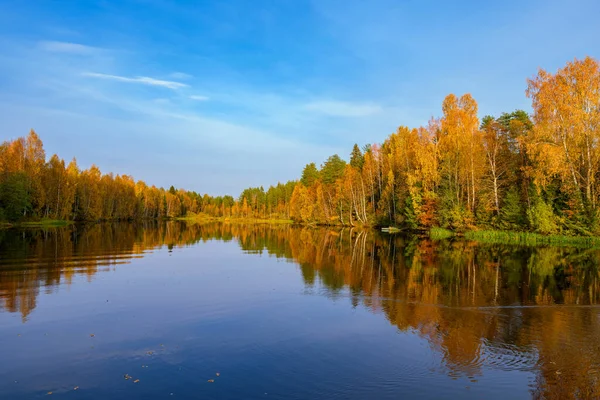 Die Feurigen Farben Des Herbstlaubes Den Bäumen Spiegeln Sich Sonnigen — Stockfoto