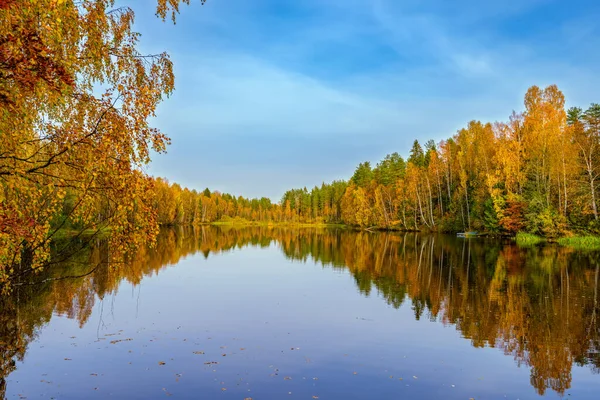 Ogniste Kolory Jesiennych Liści Drzewach Odbijają Się Spokojnej Wodzie Leśnego — Zdjęcie stockowe