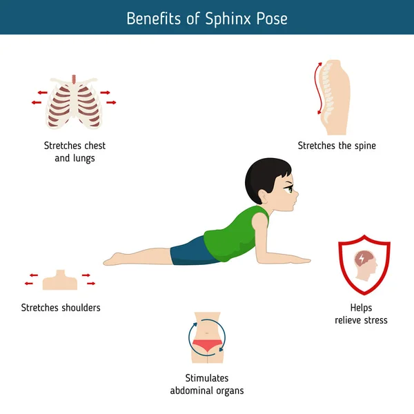 Infographics Yogaställning Fördelarna Med Sphinx Yoga Pose Tecknad Stil Illustration — Stock vektor