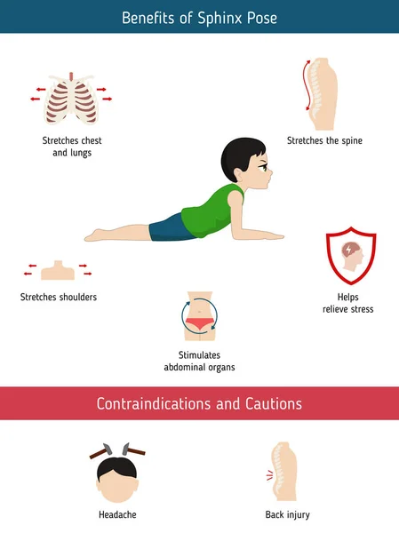 Yoga Infographics Poz Yararları Kontrendikasyonlar Konusunda Sfenks Yoga Poz Karikatür — Stok Vektör