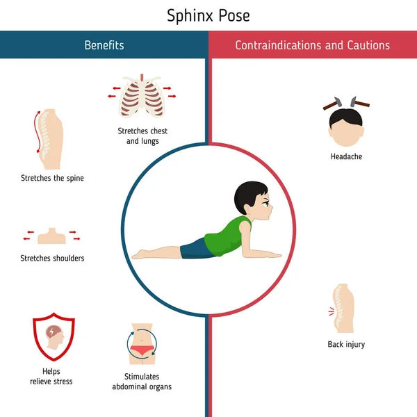 Infografías Pose Yoga Beneficios Contraindicaciones Sphinx Yoga Pose Ilustración Estilo — Vector de stock