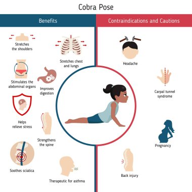 Yoga Infographics poz. Yararları ve kontrendikasyonlar konusunda Cobra Yoga poz. Karikatür tarzı illüstrasyon izole beyaz arka plan üzerinde.
